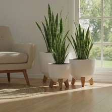 Okacih 3'lü Modern Stick Line Bambu Ayaklı Saksı Akıllı Altlıklı 18 Litre