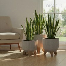 Okacih 3'lü Modern Stick Line Bambu Ayaklı Saksı Akıllı Altlıklı 18 Litre