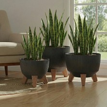 Okacih 3'lü Modern Stick Line Bambu Ayaklı Saksı Akıllı Altlıklı 18 Litre