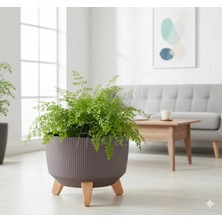 Okacih Modern Stick Line Bambu Ayaklı Saksı Akıllı Altlıklı 29X22 cm 9 Litre