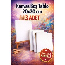 Özgürce 20X20 cm Boş Kanvas Resim Tuvali, Ahşap Karkaslı, Gergili, Hazır