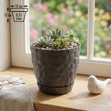 Okacih Taş Desenli Küçük Saksı 12 cm 0,75 Lt Dekoratif Saksı