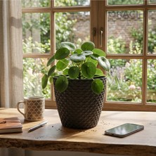 Okacih Hasır Desenli Dekoratif Saksı 3 Litre 17 cm Modern Rattan Görünümlü Iç Mekan Çiçek Saksısı