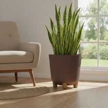 Okacih Büyük Modern Stick Line Saksı Akıllı Altlıklı 30X30 cm 25 Litre
