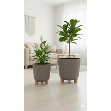 Okacih 2'li Modern Stick Line Saksı Akıllı Altlıklı 25 Litre