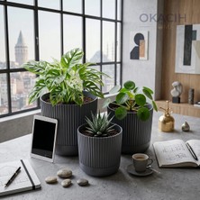 Okacih 3’lü Dekoratif Çizgili Saksı Seti 14-16-18 cm Modern Ribbed Iç Mekan Saksı