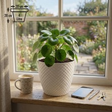 Okacih Hasır Desenli Dekoratif Saksı 4 Litre 20 cm Modern Rattan Görünümlü Iç Mekan Çiçek Saksısı