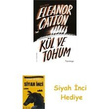 Domingo Yayınevi Kül ve Tohum + Siyah Inci
