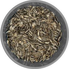 Katzoo Dakota Çekirdek – Güvercin Yemi Hammaddesi | Doğal Yağlı Tohum -20 kg