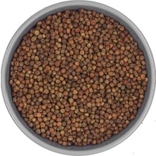 Katzoo Kahverengi Bezelye – Güvercin Yemi Hammaddesi | Doğal Kuş Yemi Bakliyat - 25 kg