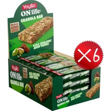 Yayla Onlife Sütlü Çikolata ve Antep Fıstıklı Granola Bar 30 g x144