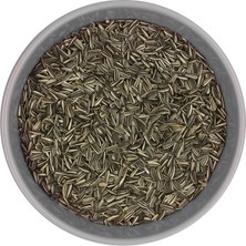 Katzoo Mini Alaca Çekirdek – Papağan Yemi Hammaddesi | Doğal Küçük Taneli Çekirdek - 25 kg