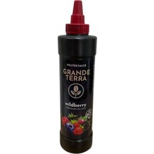 GRANDETERRA Grande Terra Orman Meyveli (Wildberry) Sos 1000 gr