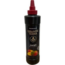 GRANDETERRA Grande Terra Mango Meyveli Sos 1000 gr
