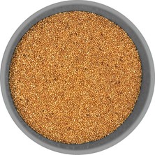 Katzoo Sarı Darı Kuş Yemi Doğal Tahıl Yem – 25 kg