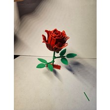 Özgürce 3D Gül Yapma Kiti ile Dekoratif Çiçek Sanatı Seti