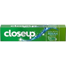2 Adet  Close Up Diş Macunu Mentol Fresh 50 ml