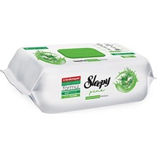 Sleepy Yüzey Temizlik Havlusu Çam Ferahlığı 100'LÜ