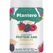 Plantero Orman Meyveli Bitkisel Protein Tozu 416G (13 Servis)