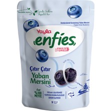 Yayla Enfies Freeze Dried Dondurularak Kurutulmuş Çıtır Meyve-Yaban Mersini 15 gr