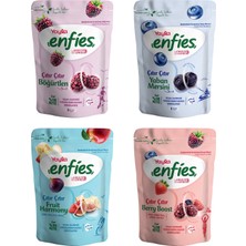 Yayla Enfies Freeze Dried 4’lü(Böğürtlen /yaban Mersini/berry Boost/fruit Harmony