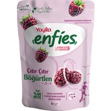 Yayla Enfies Freeze Dried Dondurularak Kurutulmuş Çıtır Meyve-Böğürtlen 15 gr