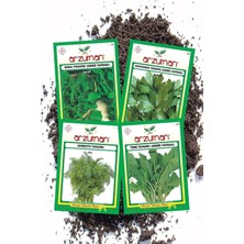 Arzuman Tohum Seti ( Roka Maydanoz Dereotu Tere Tohumu Toplam 100 Gram )