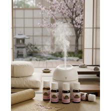 İsingir Shopping Taşınabilir Hava Nemlendirici LED Gece Işıklı USB Difüzör 5 Esans