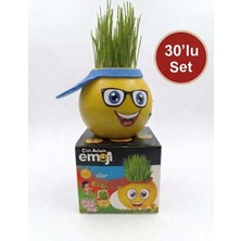 30'lu Emojili Çim Adam Seti | Dekoratif Saksı Oyuncak | Eğitici & Eğlenceli Hediye |
