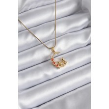 Yıldız Ticaret Mey Ithalat® 316L Çelik Gold Renk Hilal Kedi Model Zirkon Taşlı Detay Kadın Kolye