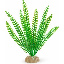 Petistera Yapay Akvaryum Bitkisi 20 cm