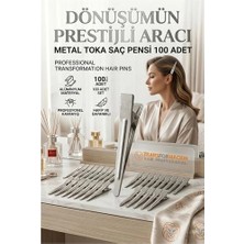 Mey İthalat Mey Ithalat® 100'LÜ Profesyonel Alüminyum Saç Pensi Seti Metal Toka Saç Pensi  718289