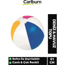 Özgürce Renkli Dilimli Deniz Havuz Su Topu, Nefes Alabilen Vinil Malzeme, 51 cm