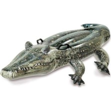 Özgürce Gerçekçi Timsah Bin, 170X86 Cm, Eğlence ve Dekorasyon Için Ideal