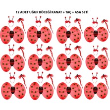 Uğur Böceği Kostüm Seti - Kanat, Taç, Asa 12 Adet