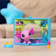 Farbu Oyuncak Pet Shop Minişler Figür Set Pet Nook G7#21 Aksolot 00593