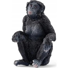 Toyfest Schleich Bonobo
