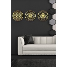 Özgürce Etkileyici 3'lü Mdf Gold Pleksi Duvar Dekoru 30X30 cm