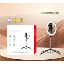 Ensiga Tripodlu Halka Işık Telefon Tutuculu LED Ring Light Video Fotoğraf Işığı Seti