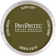 Panpastel Ultra Soft Artist Pastel Boya 270.1 Yellow Oxide Extra Dark