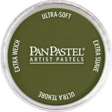 Panpastel Ultra Soft Artist Pastel Boya 220.1 Hansa Yellow Extra Dark