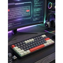Erdineks %60 Mini Mekanik Oyuncu Klavyesi - Mavi Switch Rgb Işıklı Type-C Kablolu Numpadsiz Gaming Klavye