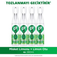 Cif Infinite Clean Doğal Probiyotikli Anti Toz Yedek Şişe Için Misket Limonu & Limon Otu 280 ml X4