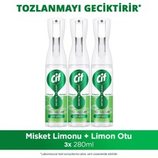 Cif Infinite Clean Doğal Probiyotikli Anti Toz Yedek Şişe Için Misket Limonu & Limon Otu 280 ml X3