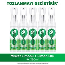 Cif Infinite Clean Doğal Probiyotikli Anti Toz Yedek Şişe Için Misket Limonu & Limon Otu 280 ml X5