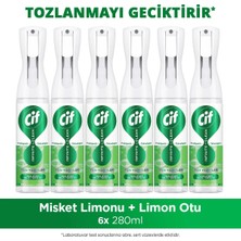 Cif Infinite Clean Doğal Probiyotikli Anti Toz Yedek Şişe Için Misket Limonu & Limon Otu 280 ml X6