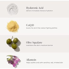 Naque Jane Iredale Hydropure Renkli Serum