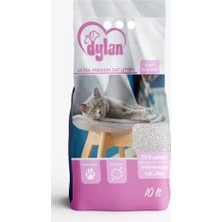 Dylan Kedi Kum
