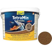 TetraMin Granules Balık Yemi 50 Gram