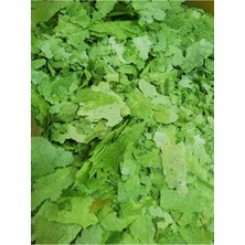 Art Aqua Spirulinalı Pul Yem, Lepistes Yemi, Cichlid Balık Yemi 100 gram